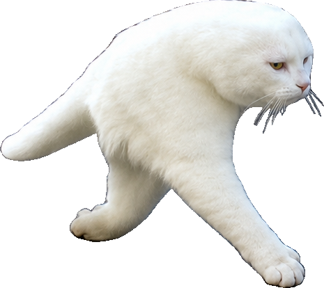 Half Cat, a white cat the camera rendered only halfway